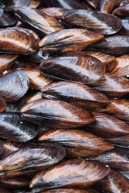 Frisches Black Shell-Rezept mit türkischem Zitronenessen