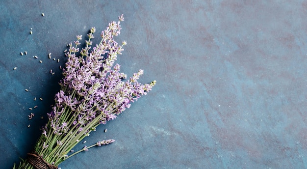 Frisches Bündel Lavendel