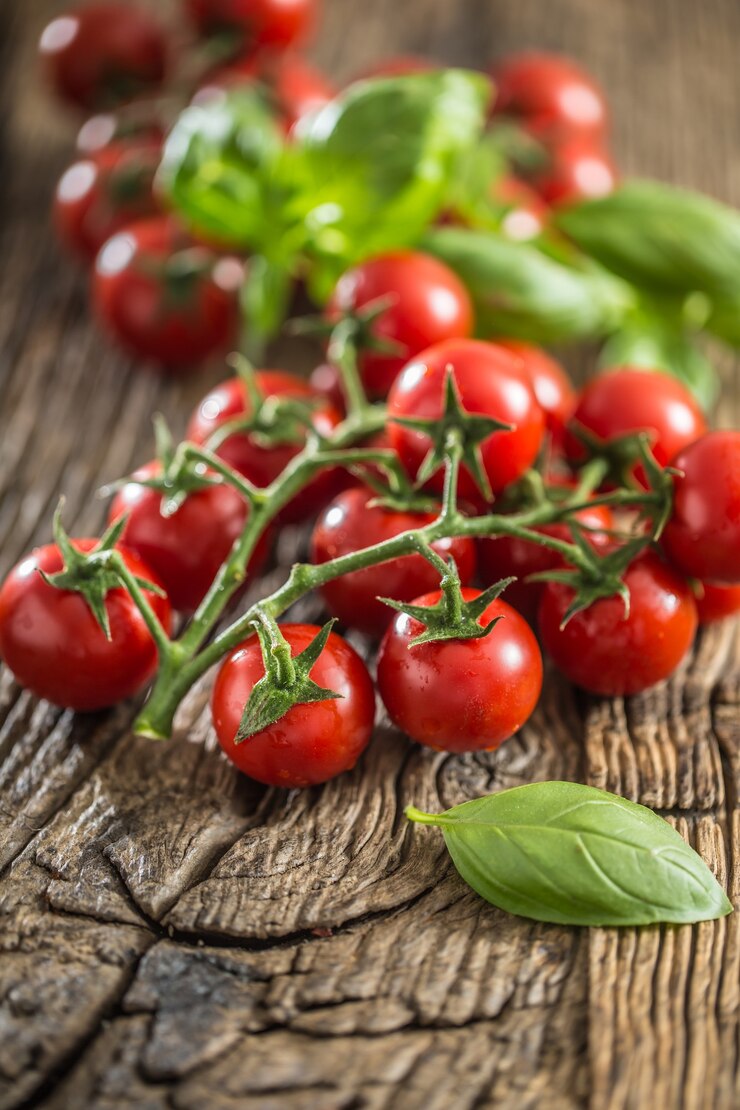 Frisches Bündel reife Tomaten mit Basilikumblättern auf altem Eichentisch.