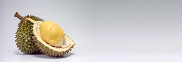 Frisches Durian-Isolat auf weißem Hintergrund AI-generiertes Header-Banner-Mockup mit Leerzeichen