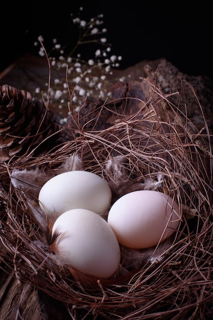 Frisches Ei im Nest am Bauernhof.