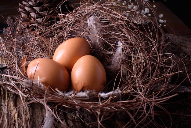 Frisches Ei im Nest am Bauernhof.