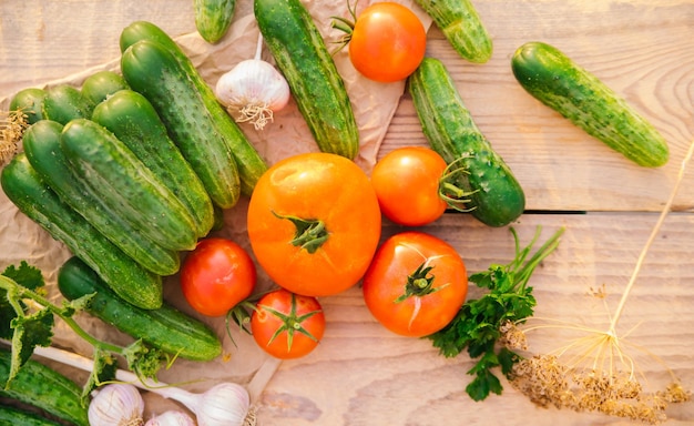 Frisches Gemüse auf einem hölzernen Hintergrund Das Konzept der gesunden Ernährung Gurken Tomaten Knoblauch Dill Ansicht von oben