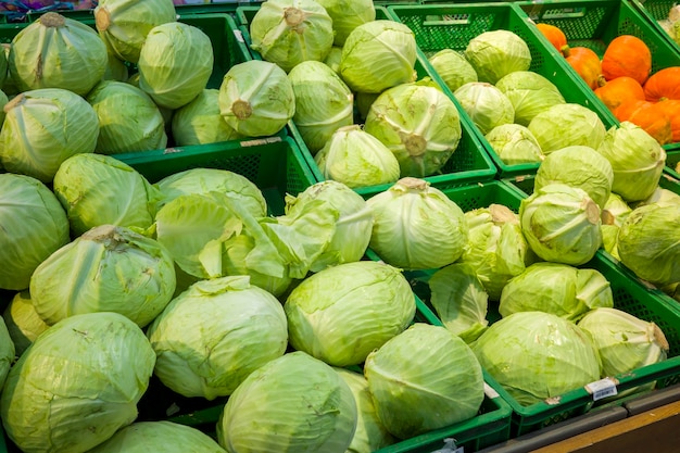 Frisches Gemüse im Laden Kohl in Plastikboxen auf der Theke des Supermarkts