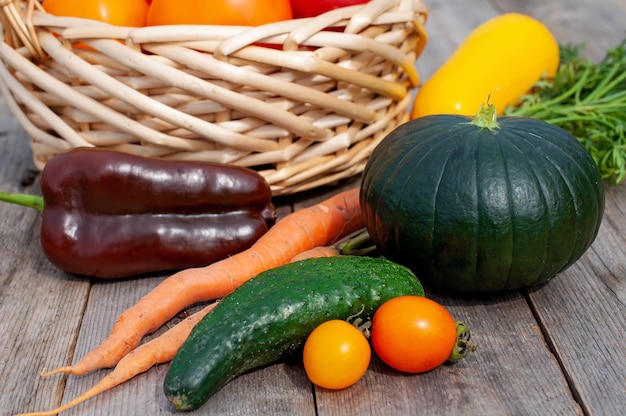 Frisches Gemüse in einem Korb. Anbau von Tomaten, Gurken, Paprika und Zucchini im Garten