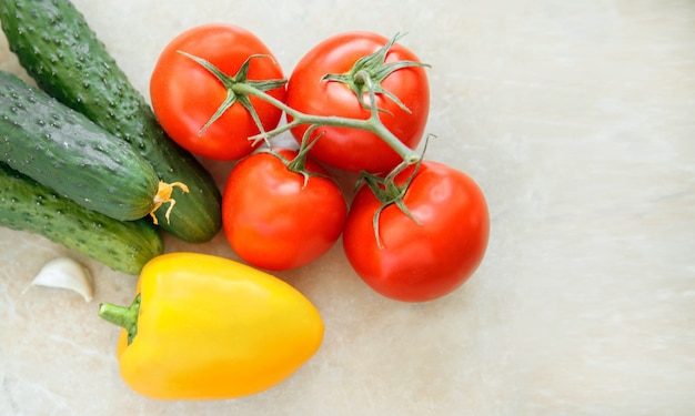 Frisches Gemüse in verschiedenen Farben Gurken Tomaten Paprika Knoblauch auf hellem Hintergrund