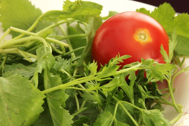 Frisches Gemüse und Tomaten