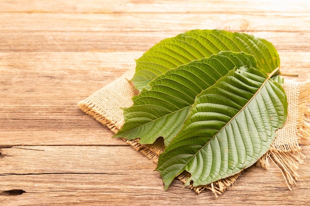 Frisches Mitragyna-Speciosa-Blatt oder Kratombaum auf Holztischhintergrund xA