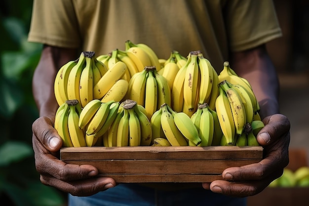 frisches Obst in einer Holzkiste