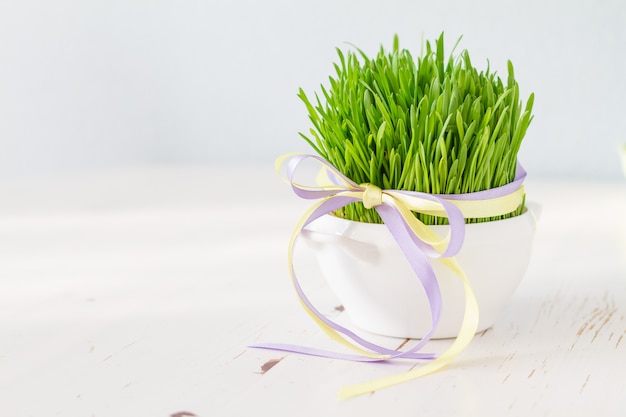 Frisches Ostern-Gras im weißen Topf, hölzerner Hintergrund