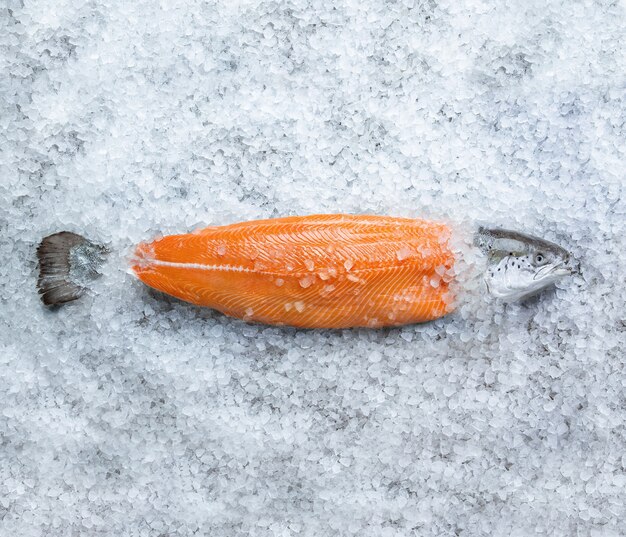 Frisches rohes Lachsfischsteak auf Eis über grauem Steinhintergrund