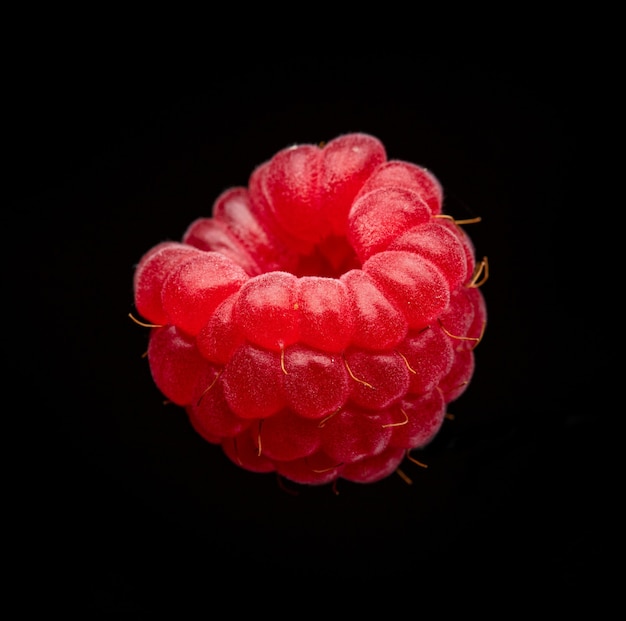 Frisches rotes Himbeermakro lokalisiert auf schwarzem Hintergrund