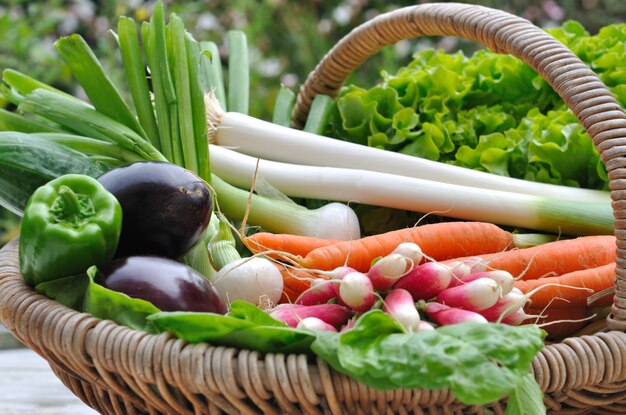 Frischgemüse in einem Weidenkorb im Garten