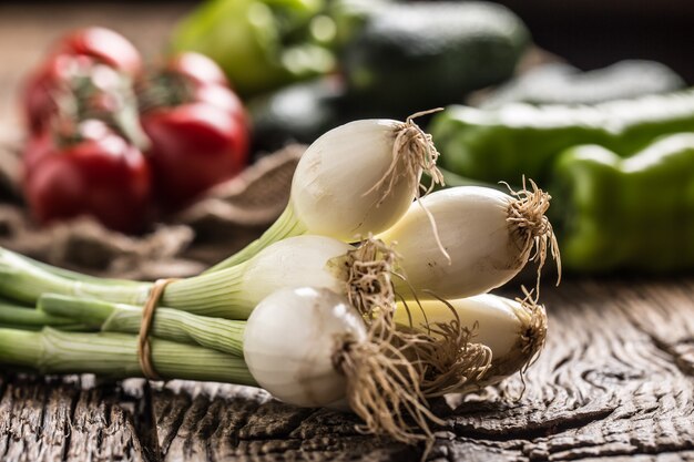 Frischgemüse-Zwiebel-Gurken-Pfeffer und Tomaten auf rustikalem Eichentisch.