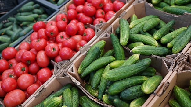 Frischgemüsegurken, Tomaten für Verkauf auf Landwirtmarkt