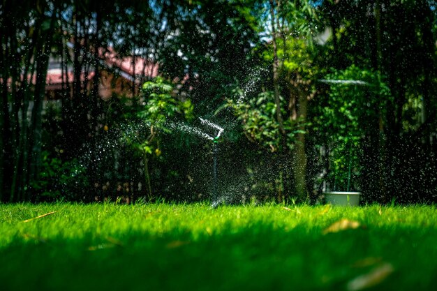 Frischwasserspritzer von der Sprinklerstange setzen sich im Grasfeld im Garten im Freien ab
