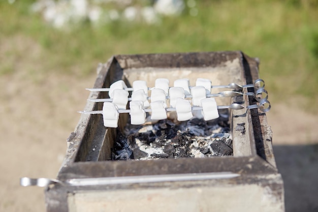 Fritar marshmallows na grelha piquenique no quintal para o memorial ou dia do trabalho diversão de verão foto de alta qualidade