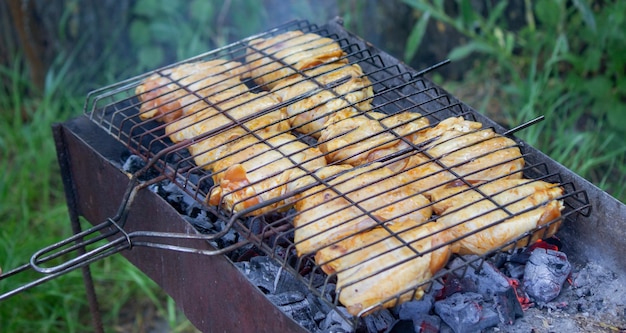 Frite espetos de frango na grelha piquenique na natureza