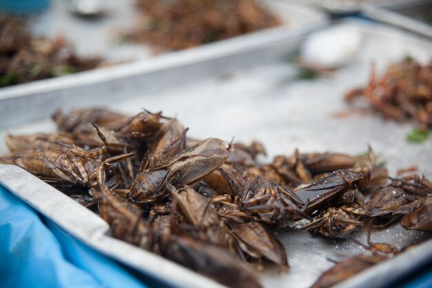 Foto frittierte heuschrecken