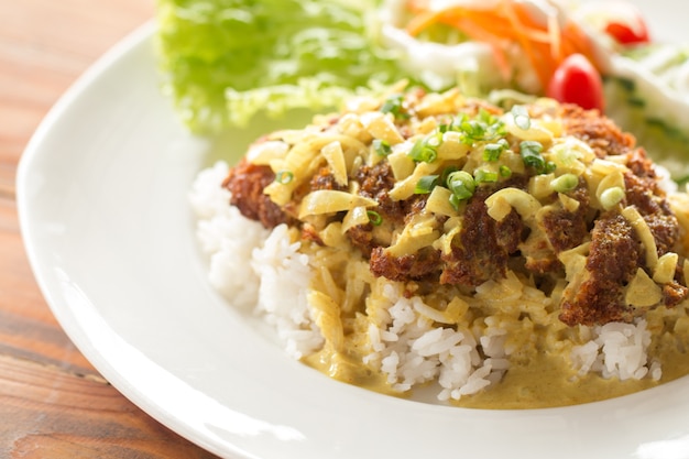 Frittierter panierter Schweinefleischreis mit Salat, Tonkatsu