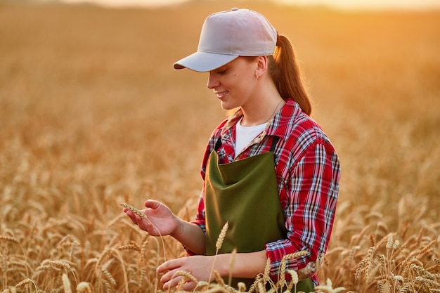 Fröhlich lächelnde junge Landwirtin, die auf einem goldgelben Trockengetreidefeld steht und Weizenernte analysiert