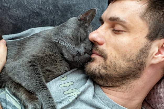 Fröhliche graue Katze schläft, Umarmungen an der Schulter, Brust eines Mannes