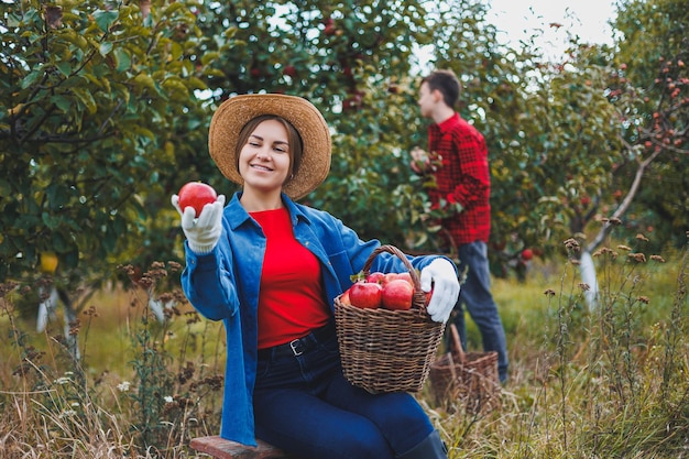 Fröhliche lächelnde Arbeiterin mit Hut, die während der Herbsternte frische reife Äpfel im Obstgarten pflückt Erntezeit
