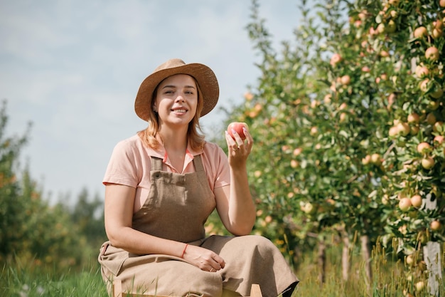 Fröhliche lächelnde Landwirtin, die während der Herbsternte frische reife Äpfel im Obstgarten pflücken Erntezeit