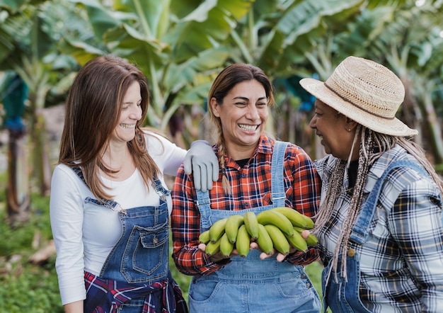 Fröhliche multiethnische Landwirtschaftsfrauen, die sich auf der Bananenfarm amüsieren