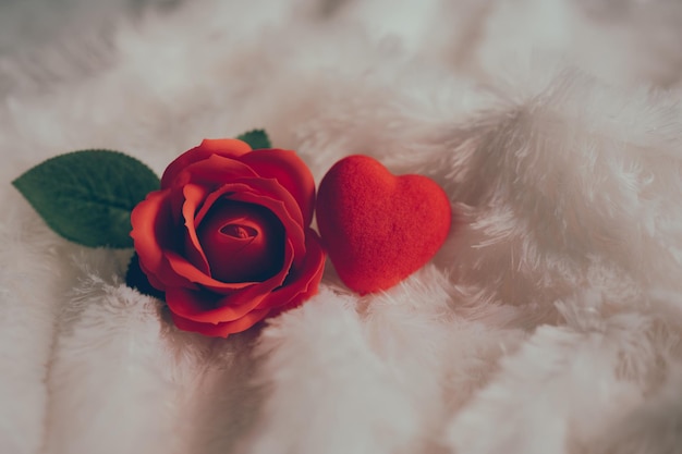 Fröhlichen Valentinstag. Rote Rosen und Herzen auf weißen Federn
