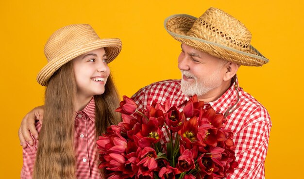 Fröhlicher alter Großvater mit Enkelin hält Tulpenblumen auf gelbem Hintergrund.