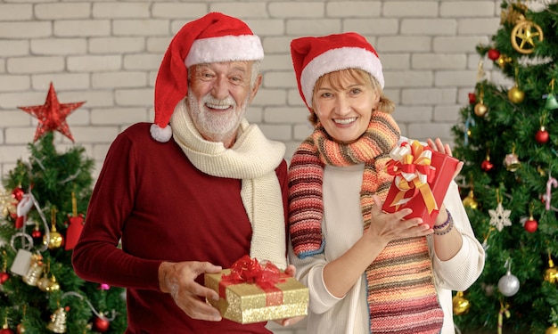 Fröhlicher alter Mann und reife Frau in Weihnachtsmützen, die mit einem Lächeln in die Kamera schauen und Weihnachtsgeschenke gegen die Mauer demonstrieren