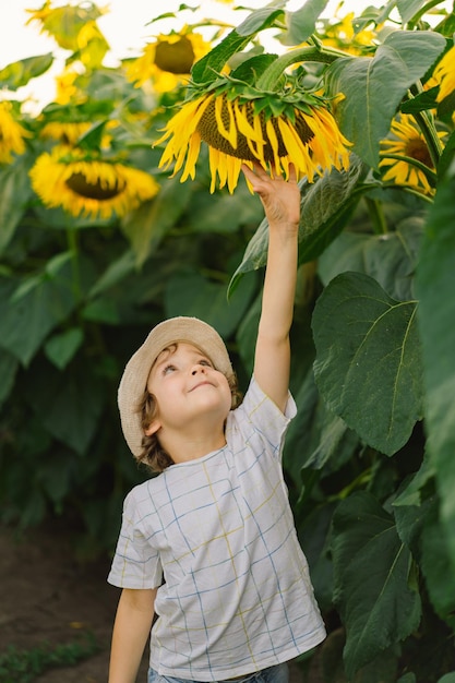 Fröhlicher Junge, der auf dem Feld der Sonnenblumen spazieren geht. Kind spielt mit großer Blume und hat Spaß