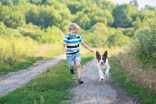 Fröhlicher Junge und braun-weißer Border-Collie, der draußen läuft