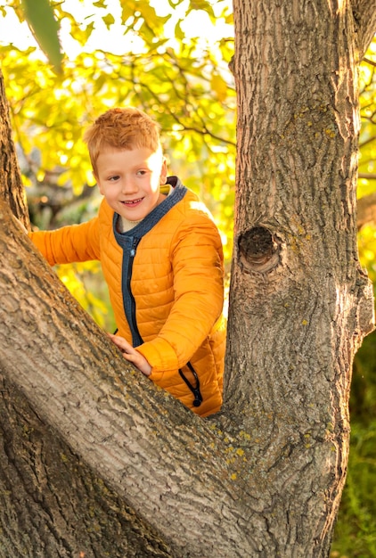 Foto fröhlicher, lustiger teenager-junge in gelber kleidung auf einem baum, der hinter einem stamm hervorschaut