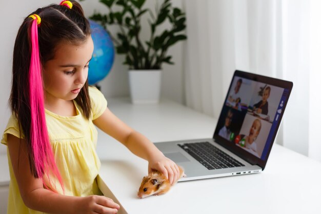 Fröhliches junges kleines Mädchen mit einem Haustierhamster mit Laptop-Computer, der zu Hause über ein Online-E-Learning-System lernt. Fern- oder Fernunterricht