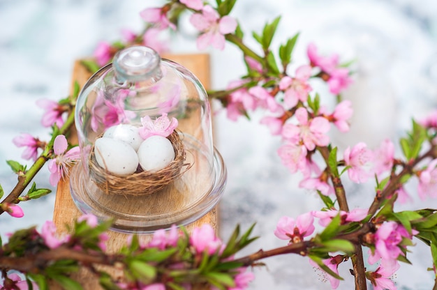 Fröhliches Osterkonzept mit Eiern und blühendem Zweig. Frühling, Ostern, Eier Nahaufnahme und Kopierraum.