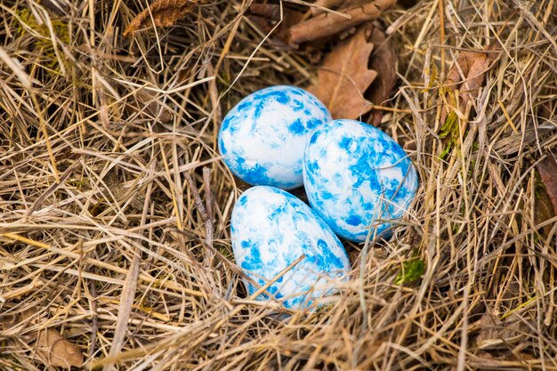 Frohe Ostern bunte Eier im Nest