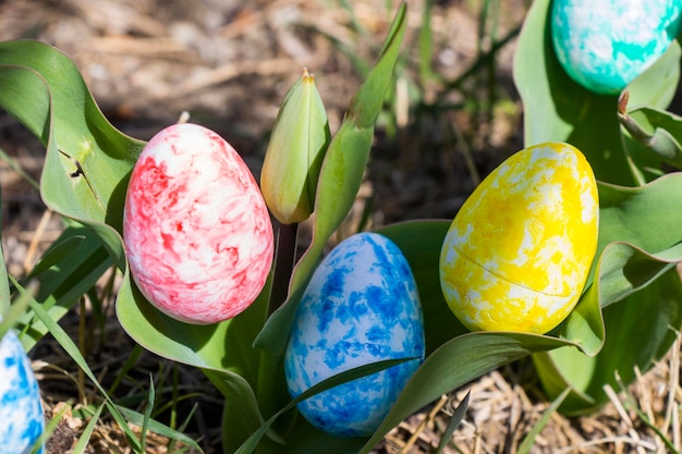 Frohe Ostern bunte Eier und Blumen Gras und Land