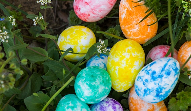 Frohe Ostern bunte Eier und Blumen Gras und Land