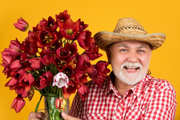 Froher alter reifer Mann mit Hut hält Frühlingstulpenblumen auf gelbem Hintergrund