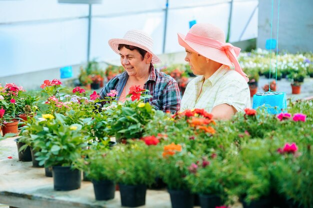 Frontansicht auf Blumen in Töpfen, zwei Frauen arbeiten in einem Blumen-Wärmehaus und diskutieren über ihre Arbeit