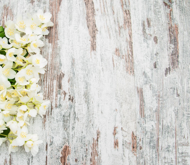 Foto fronteira com flores de jasmim