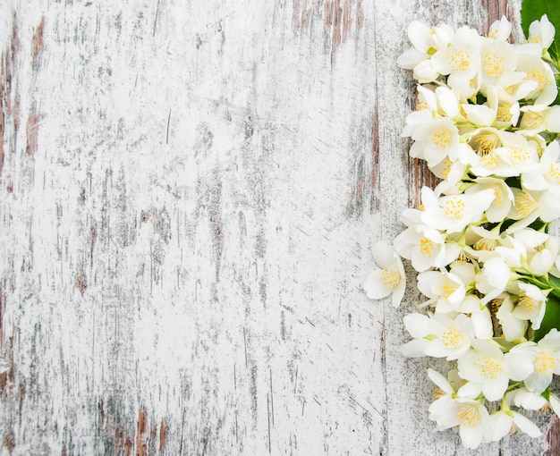 Fronteira com flores de jasmim