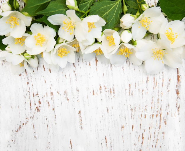 Fronteira com flores de jasmim