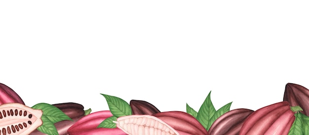 Fronteira com vagem de cacau maduro com folhas de feijão Banner em aquarela Ilustração para cartaz de menu de modelo de embalagem