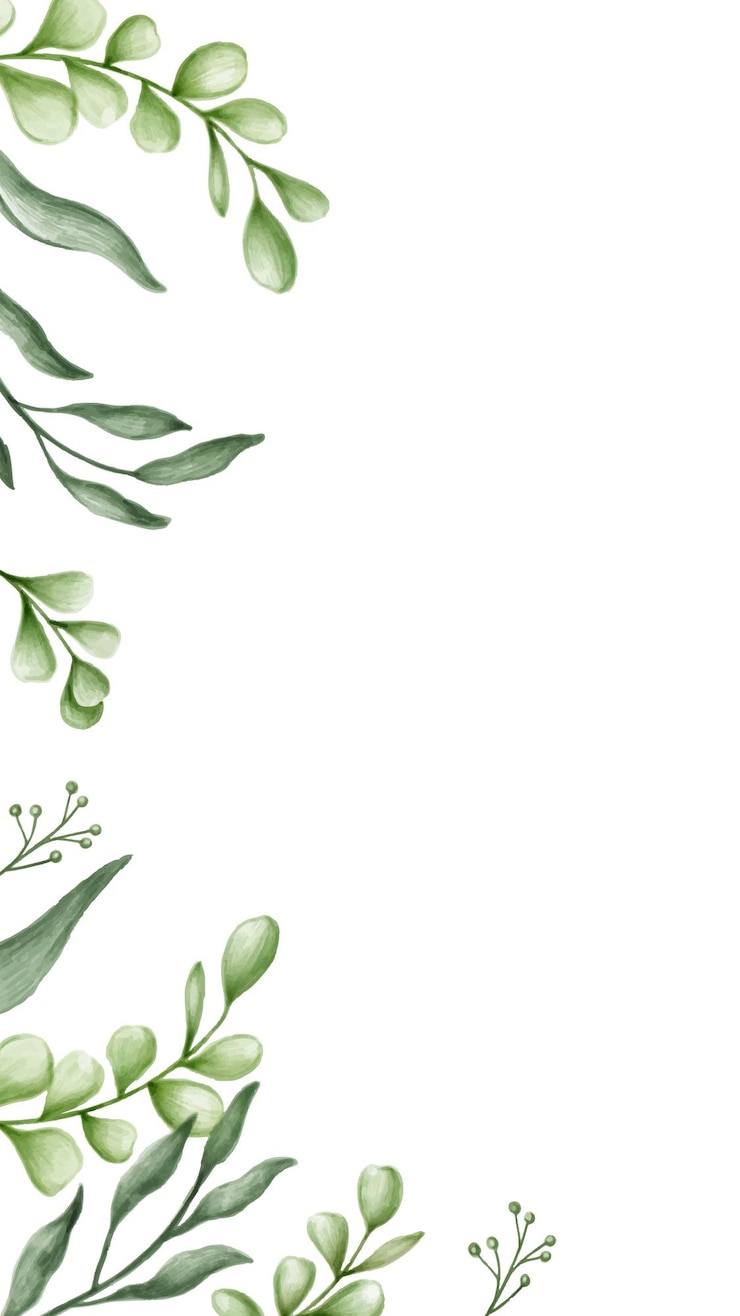 Foto fronteira de folha png fundo transparente