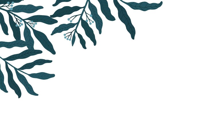 Foto fronteira de folha png fundo transparente