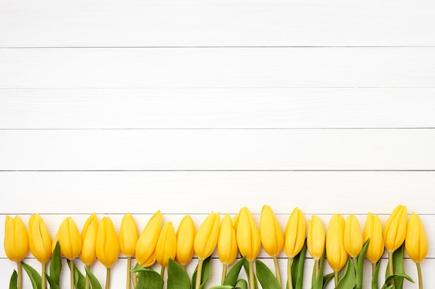 Fronteira de tulipas amarelas sobre fundo branco de madeira. Copie o espaço, vista superior.