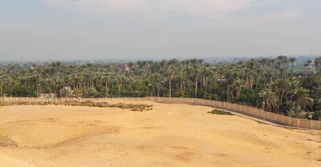 Foto frontera entre el desierto y green palm trees grove cerca del museo imhotep al pie del saqqara